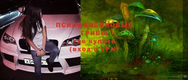 СК Бронницы