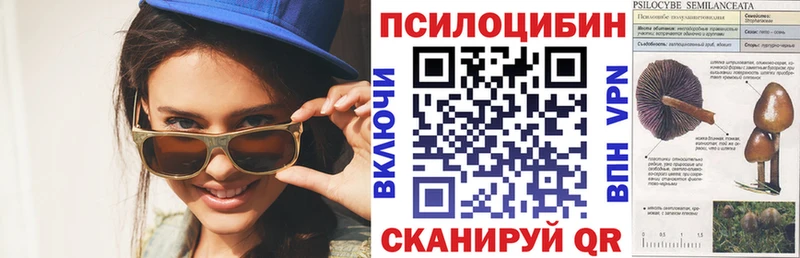 Галлюциногенные грибы Cubensis  нарко площадка как зайти  Екатеринбург 